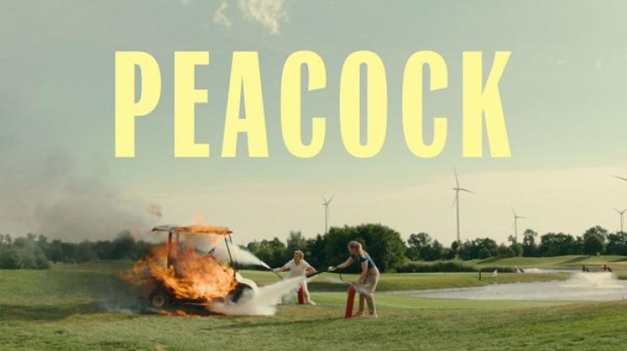 مشاهدة فيلم Peacock 2024 مترجم ايجي بست